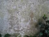 image of grave number 443638
